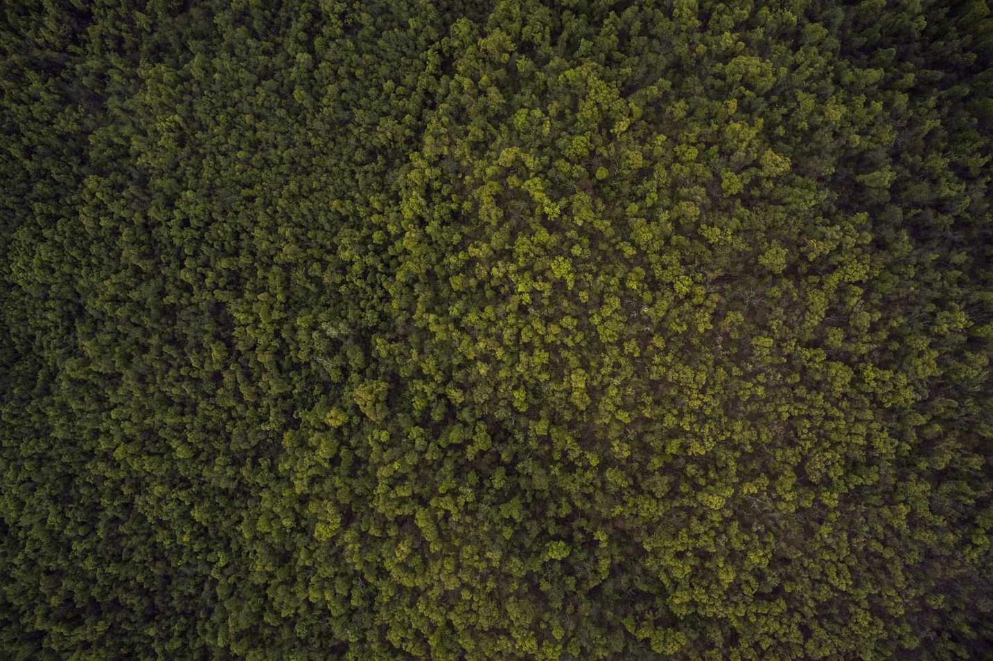 Voluptatem maiores ea sed